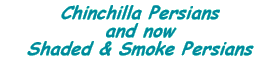 Chinchilla Persians and now Shaded and Smoke Persians